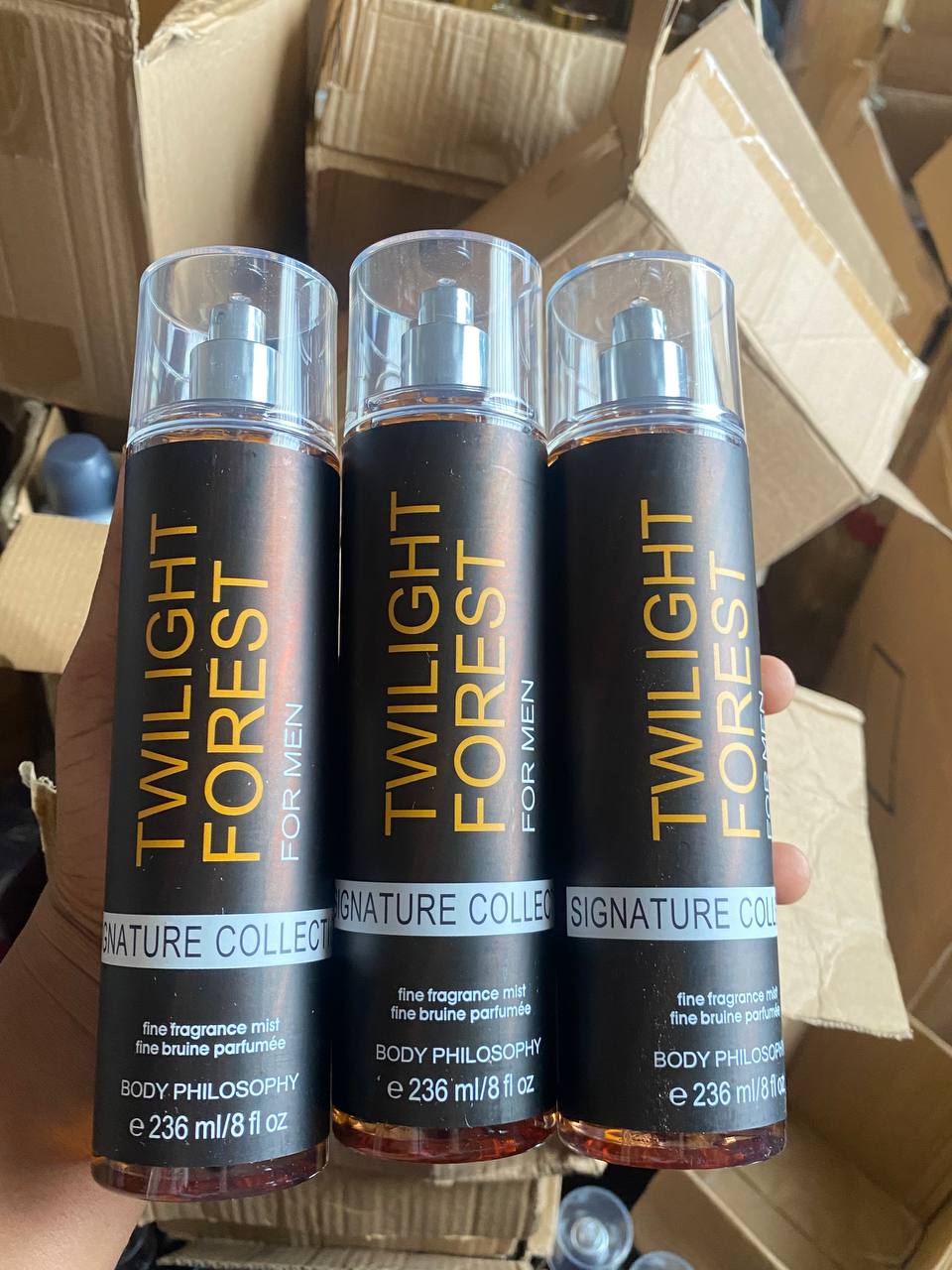 5931551742644832675_121 Twilight Forest - Image 1